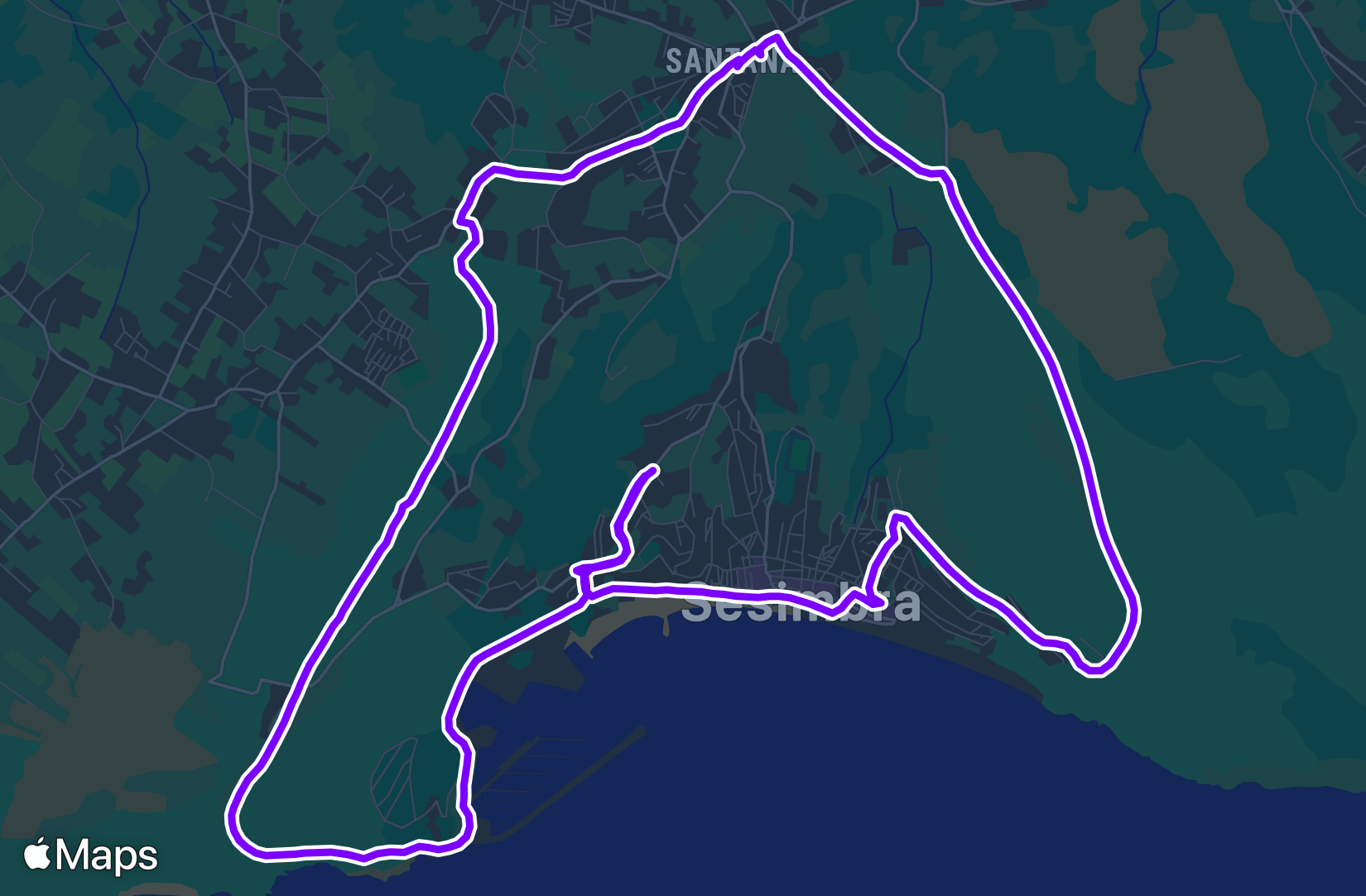 Run training