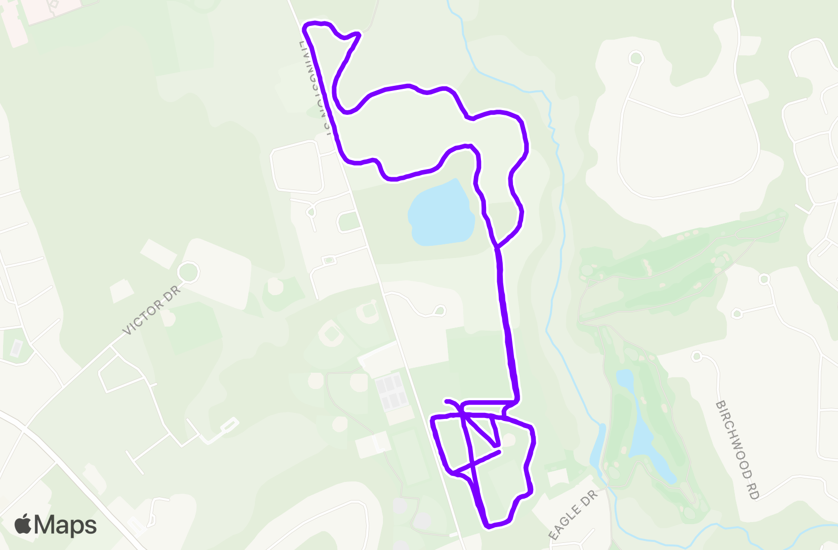 Run training