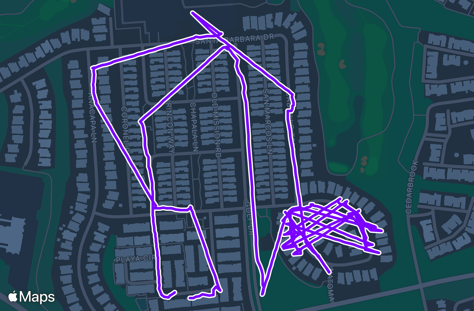 Run training