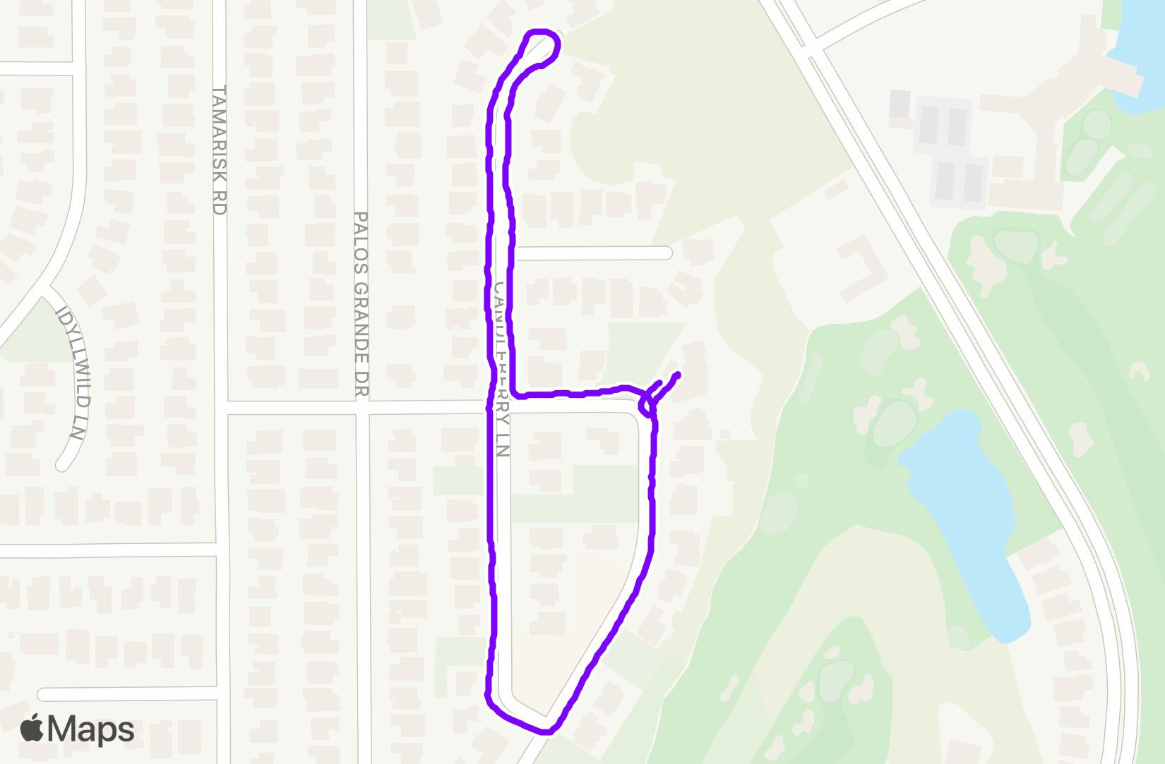 Walk training