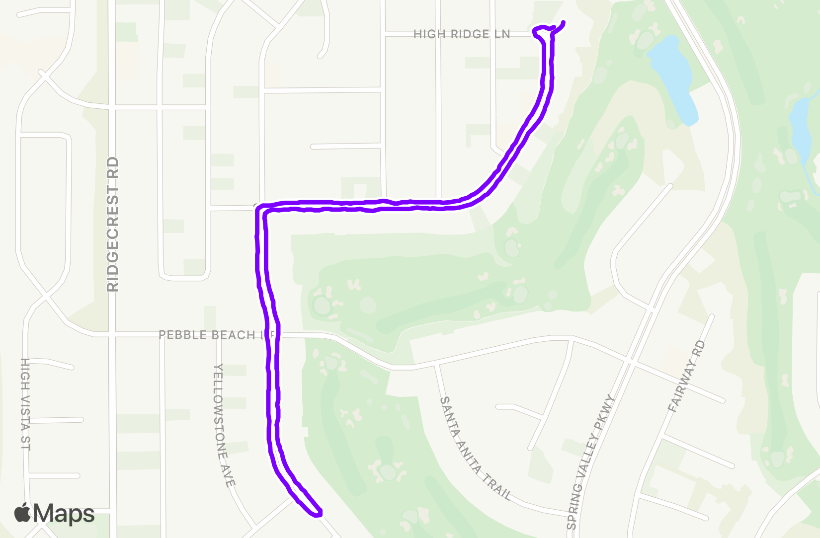Walk training