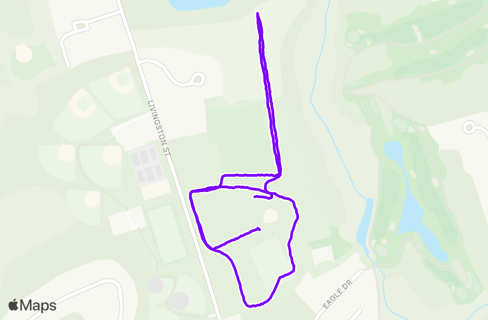 Run training