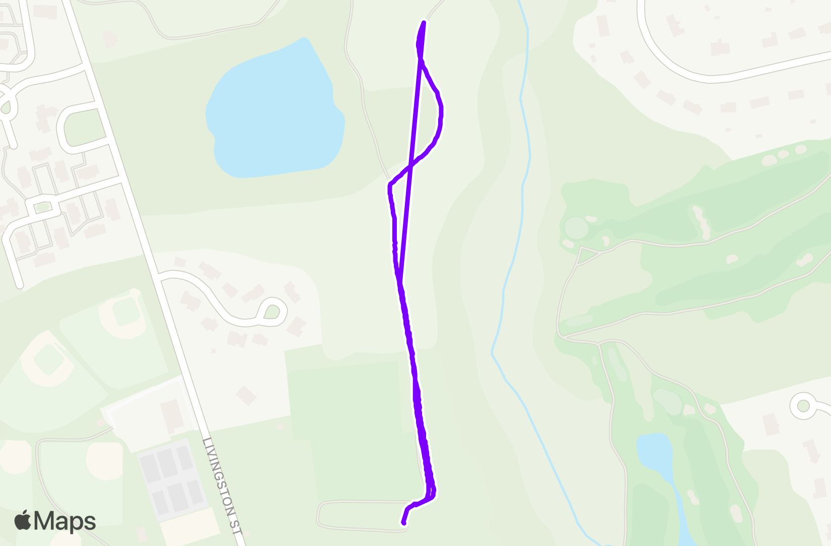 Run training
