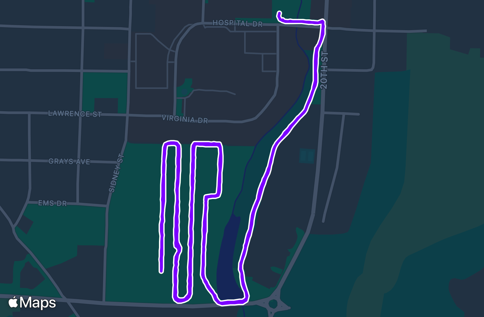 Run training