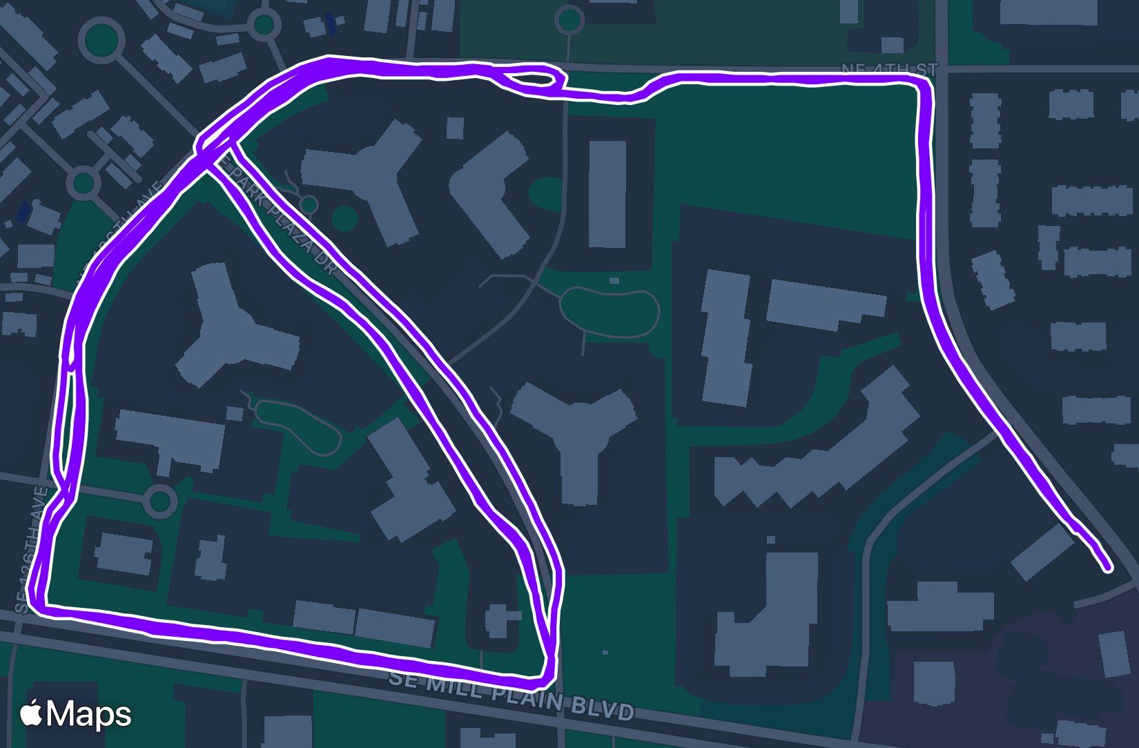 Run training