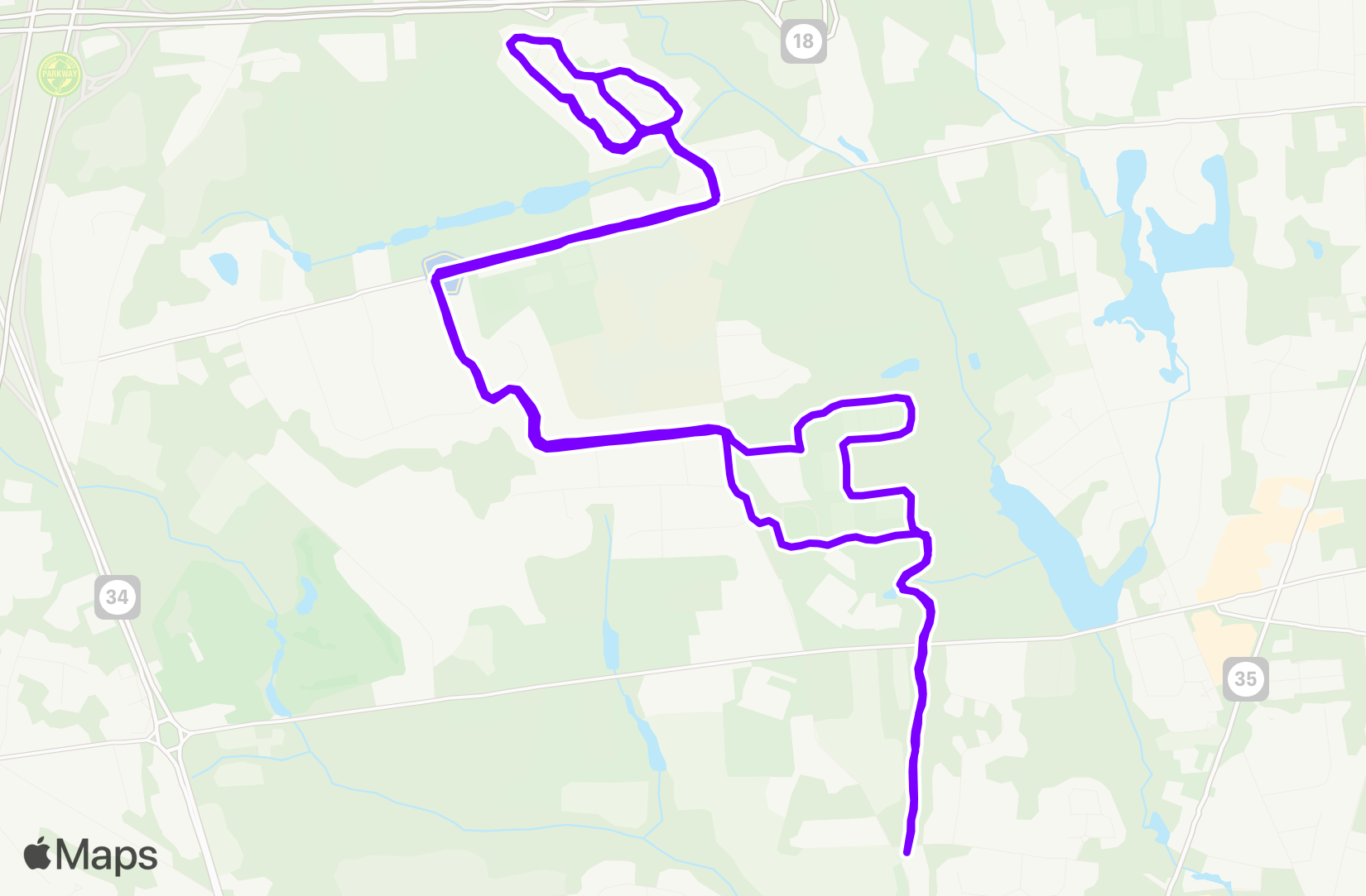 Run training