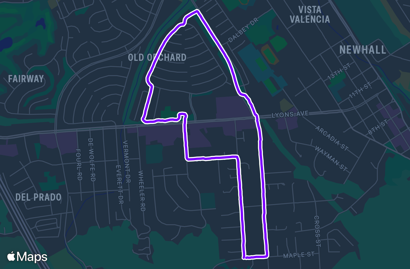 Run training
