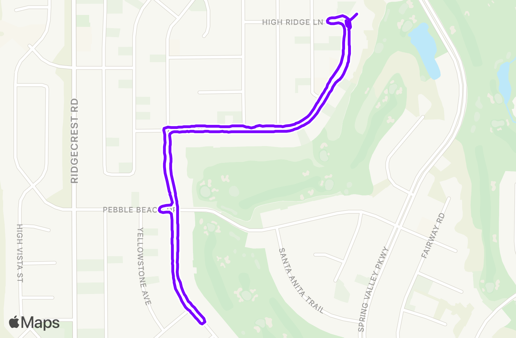 Walk training