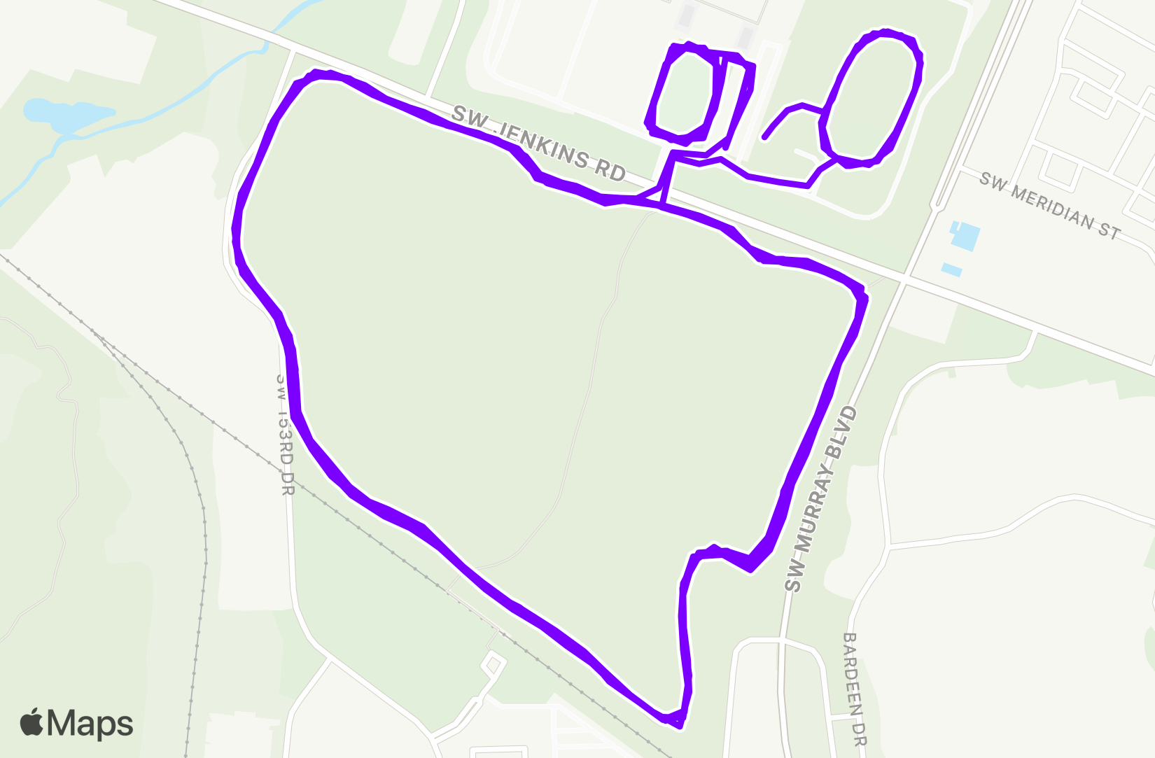 Run training