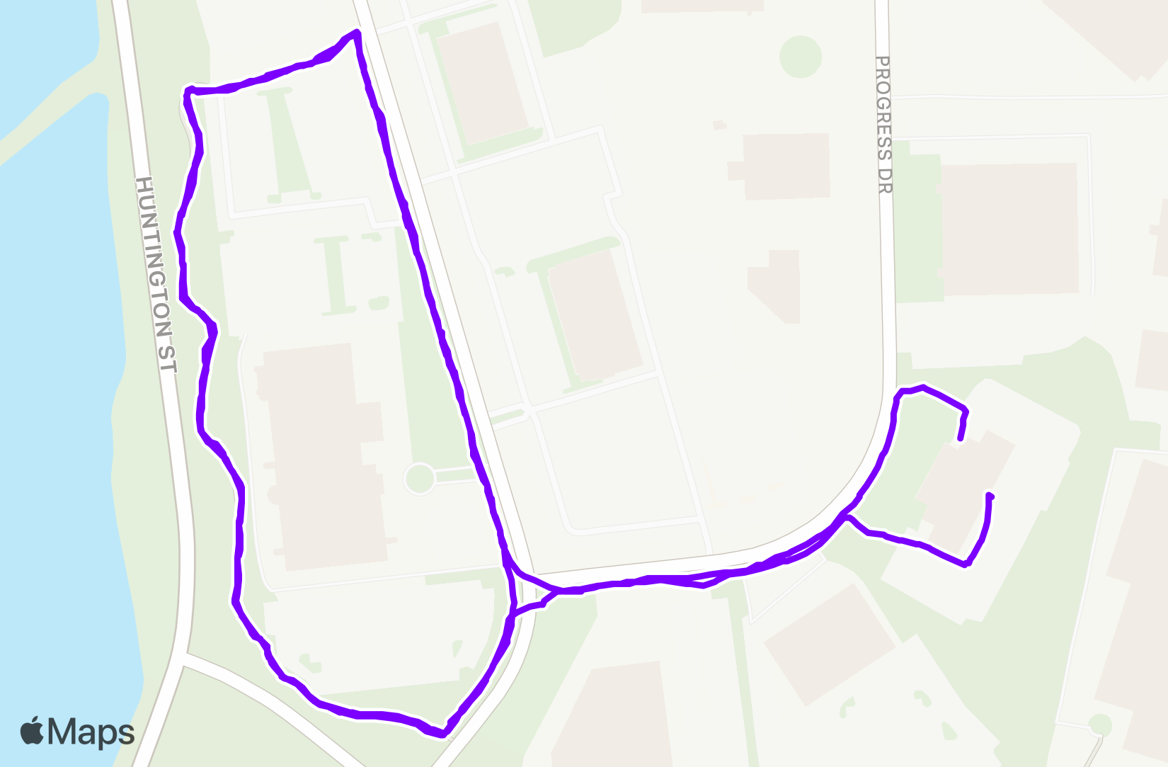 Walk training