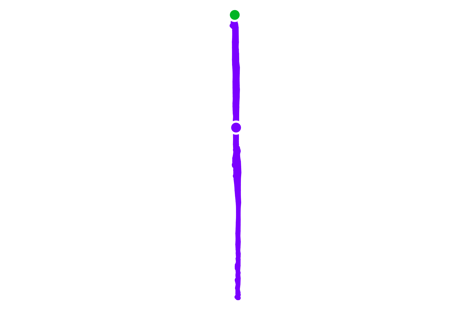 Run training