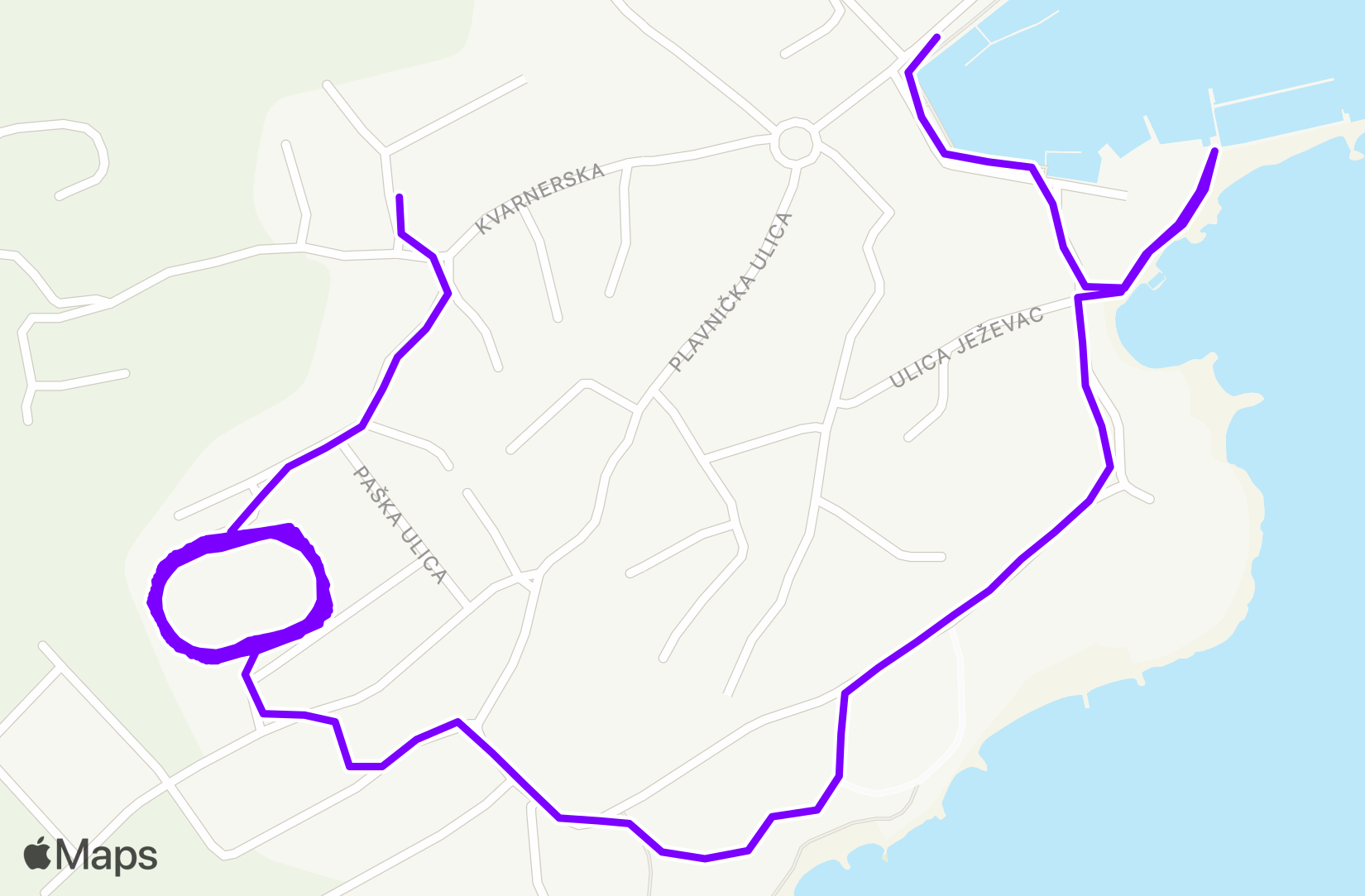 Run training