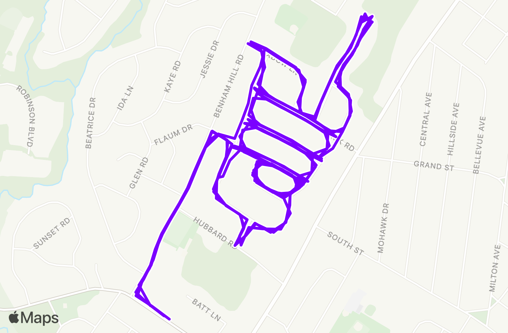 Run training