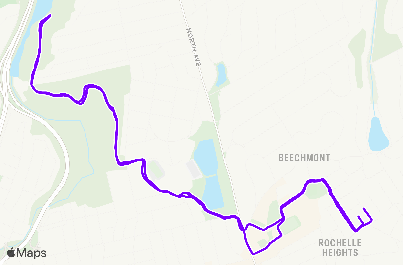 Run training