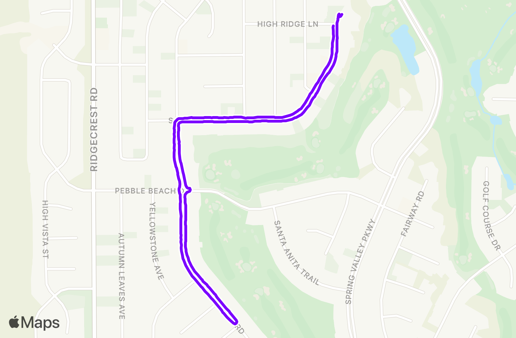 Walk training