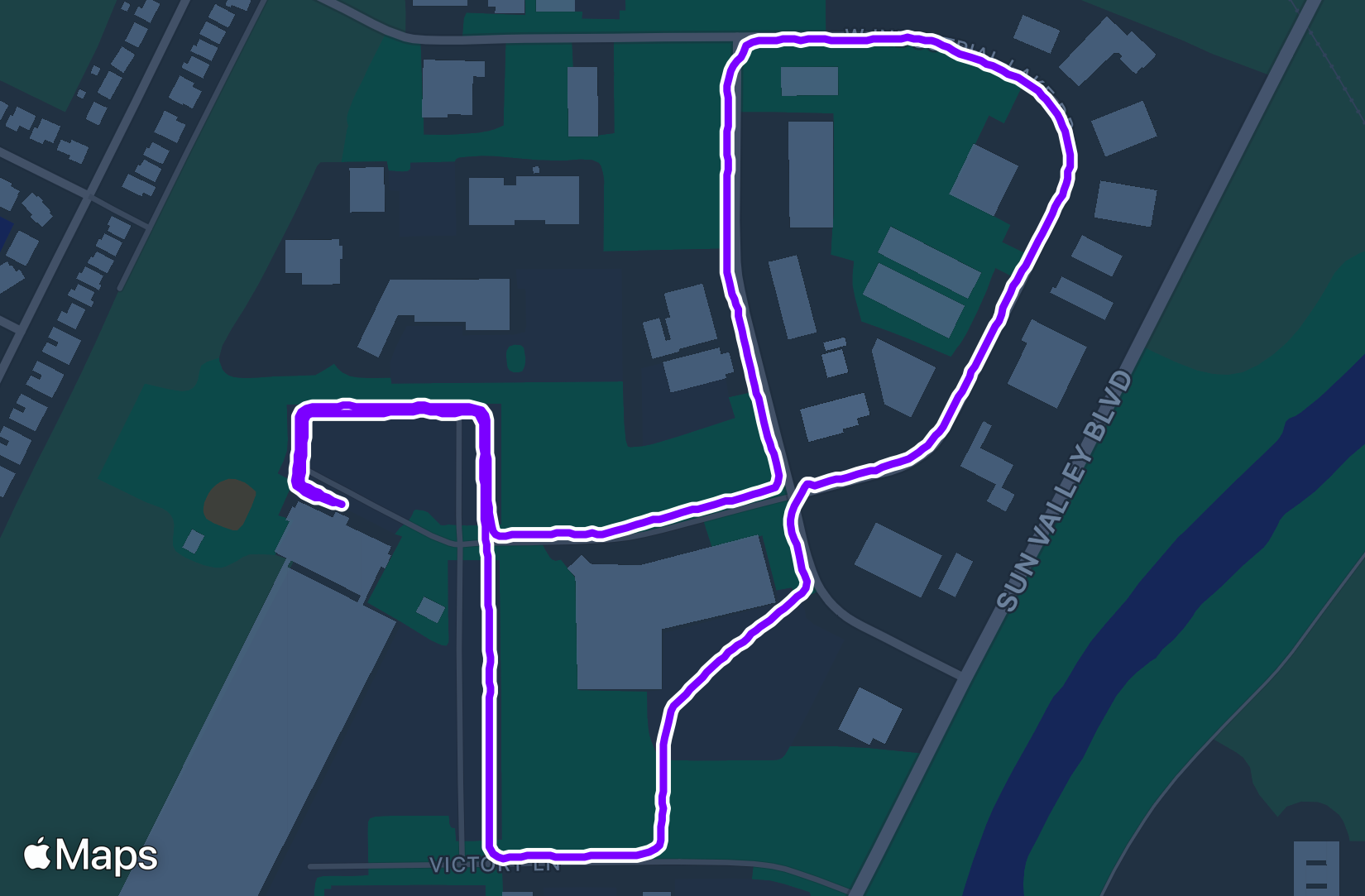 Walk training