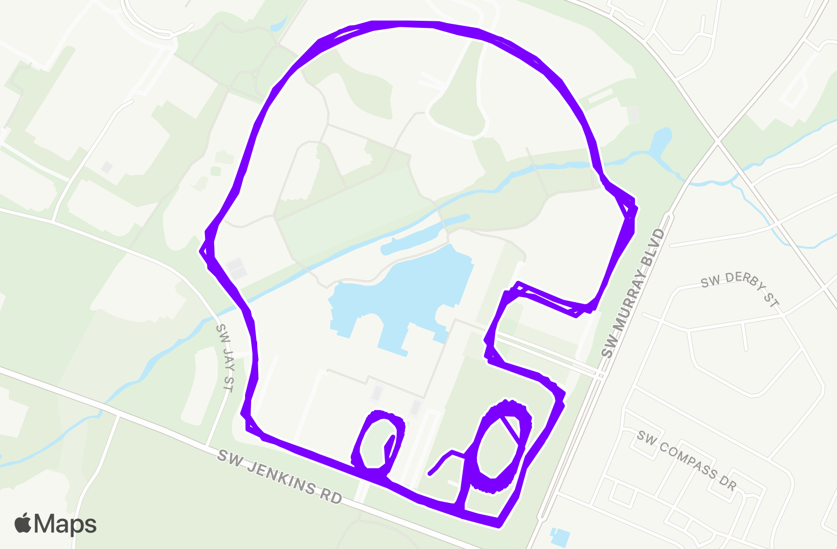 Run training