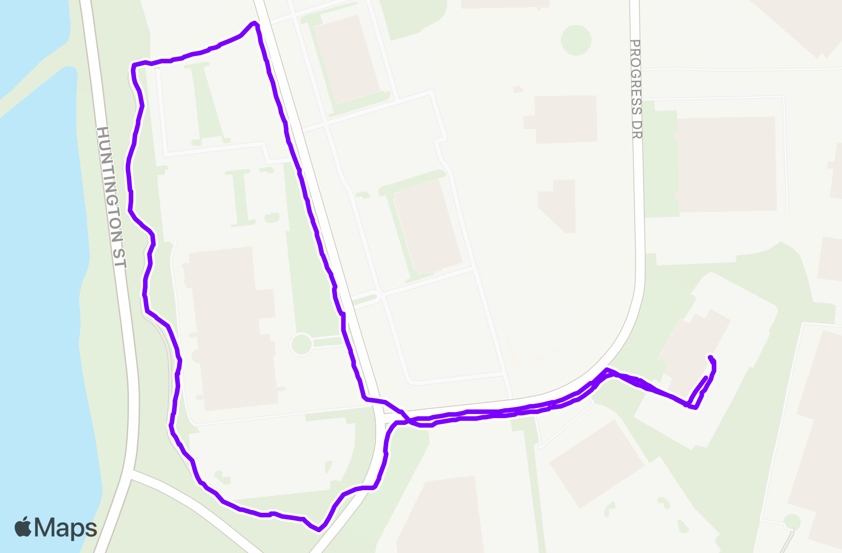 Walk training