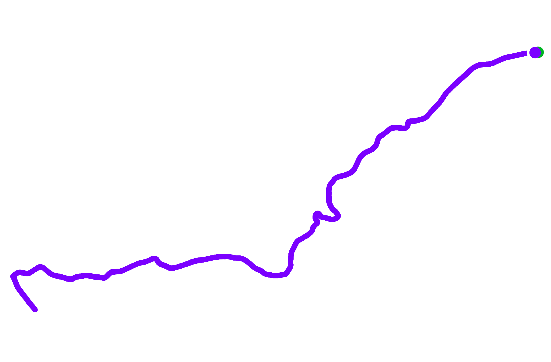 Run training