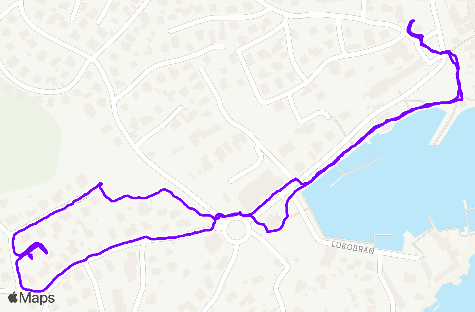 Walk training