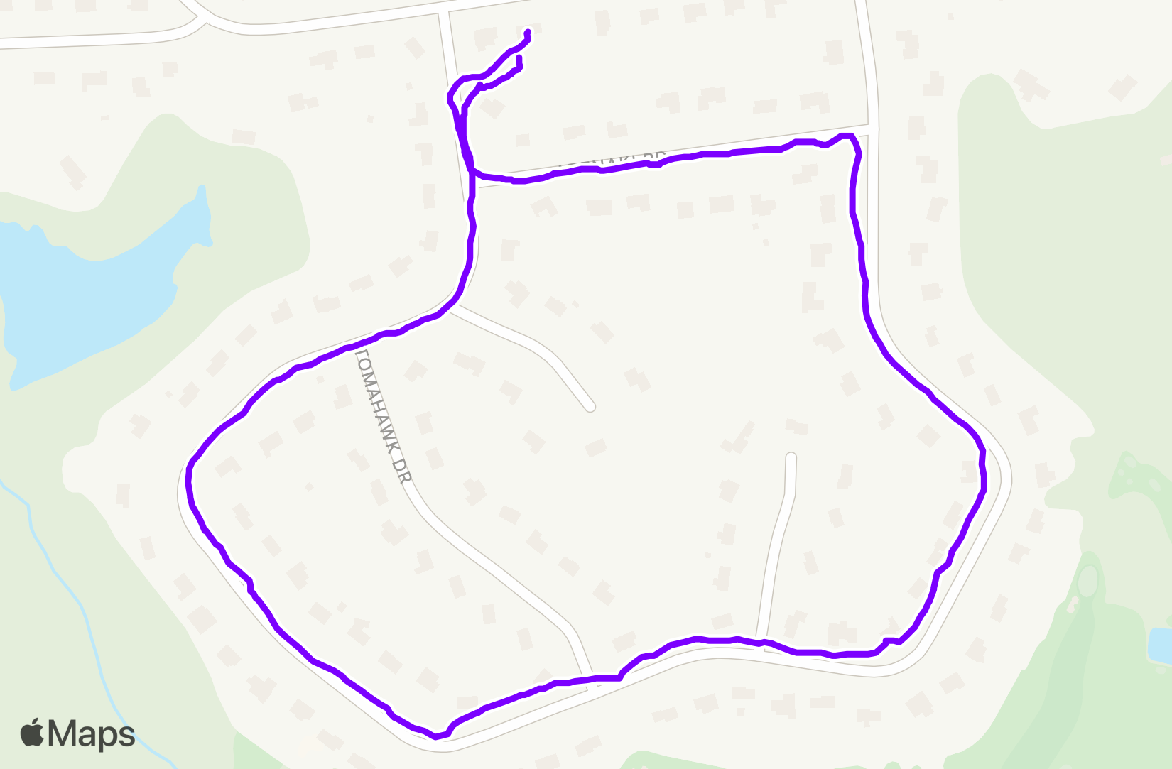 Walk training