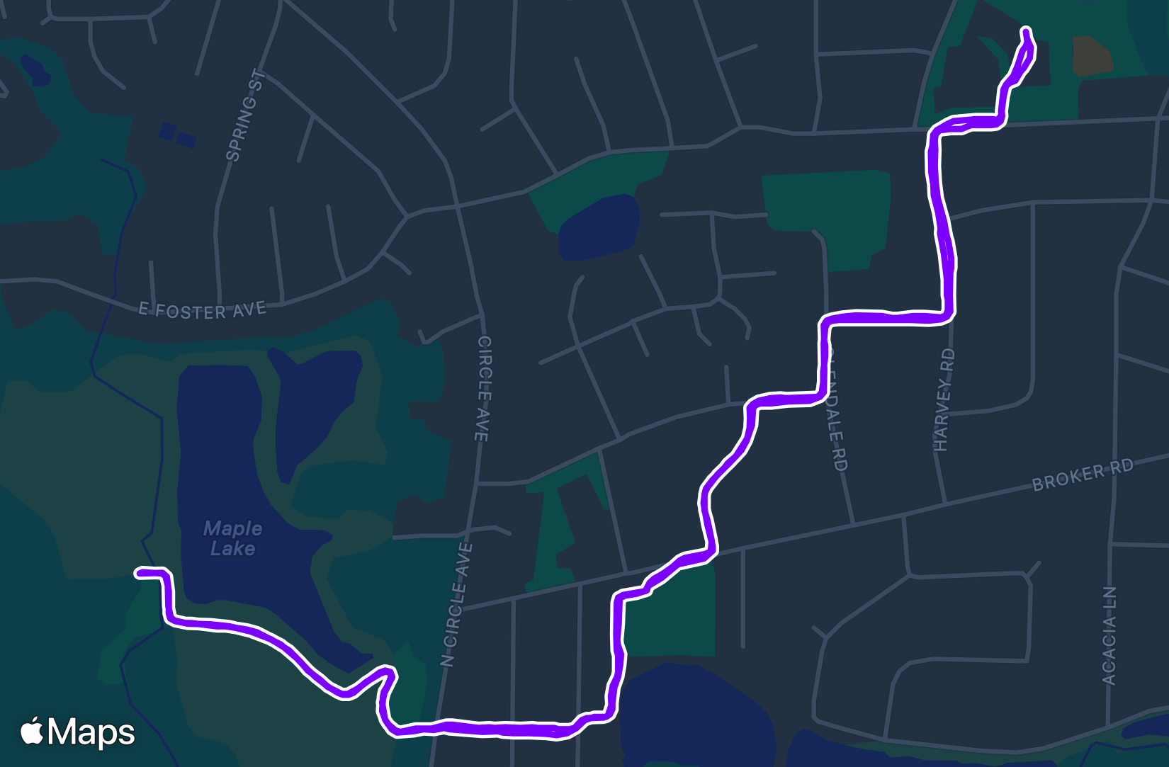 Run training