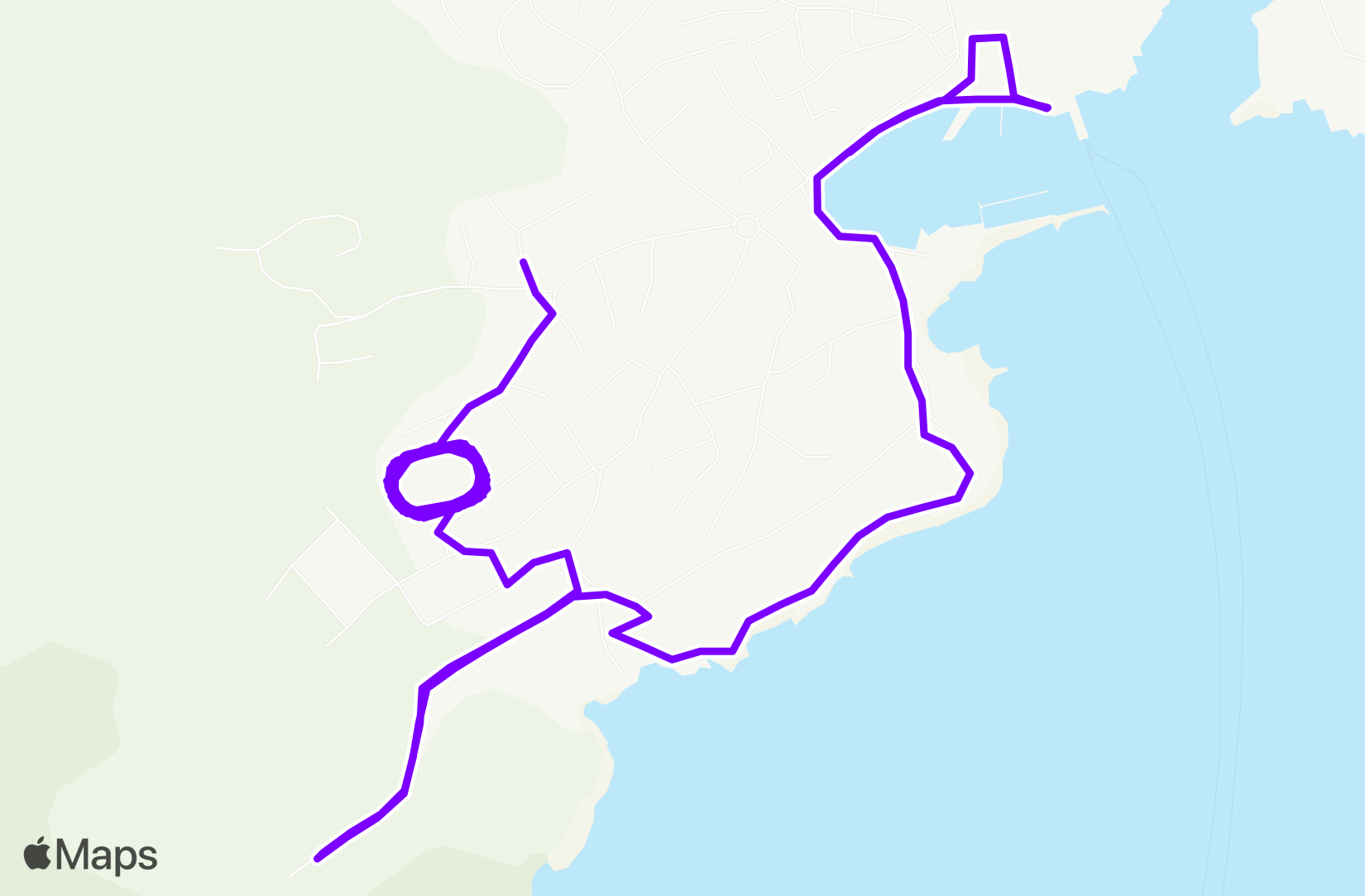 Run training