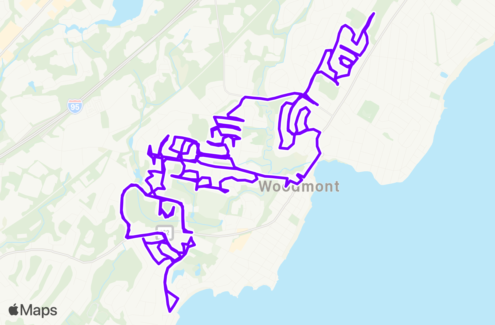 Run training