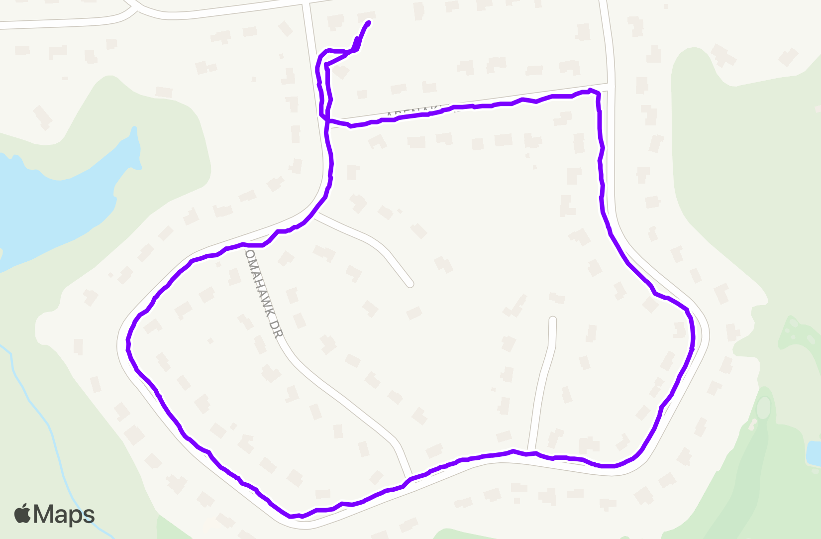 Walk training