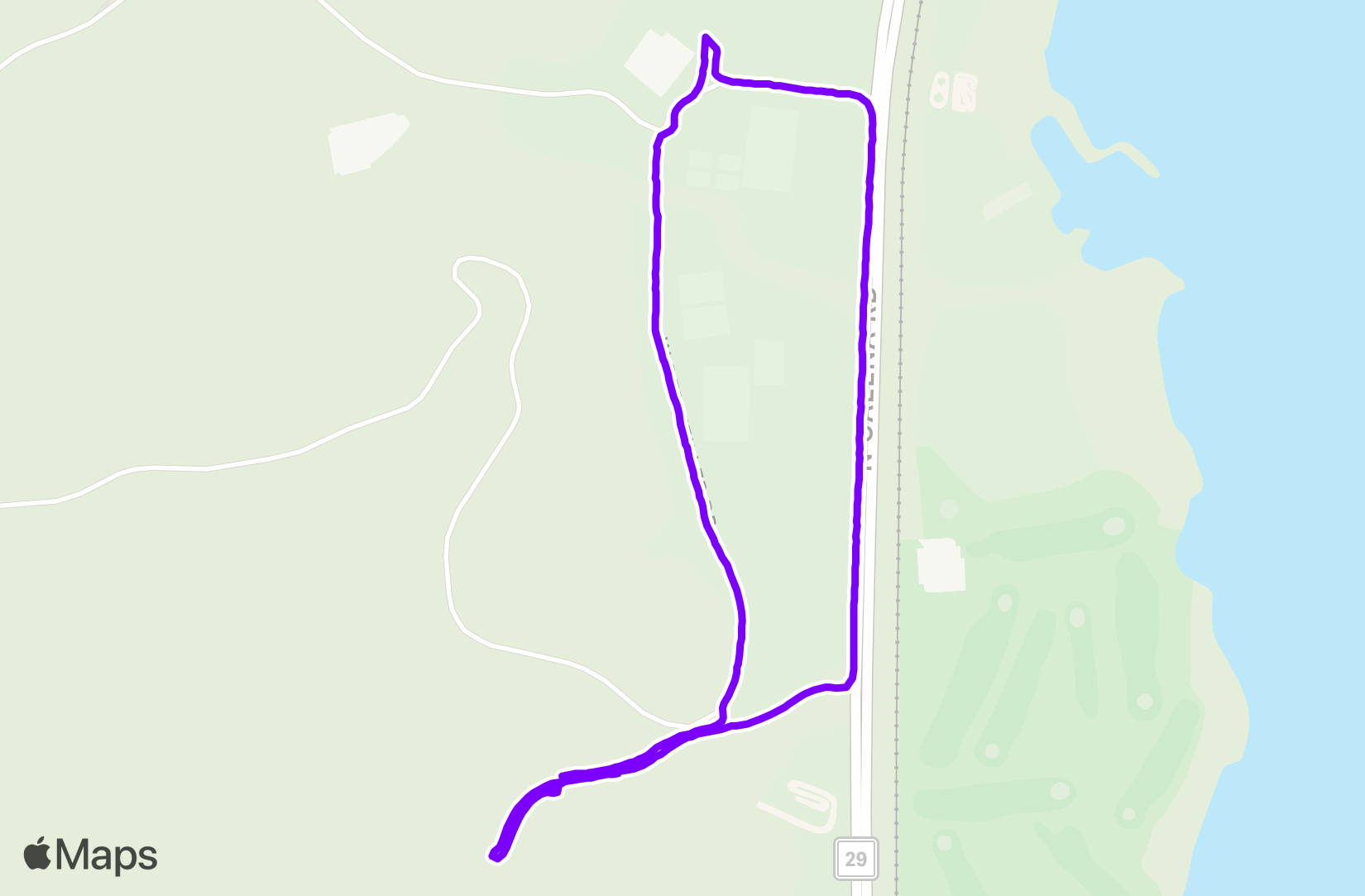 Run training
