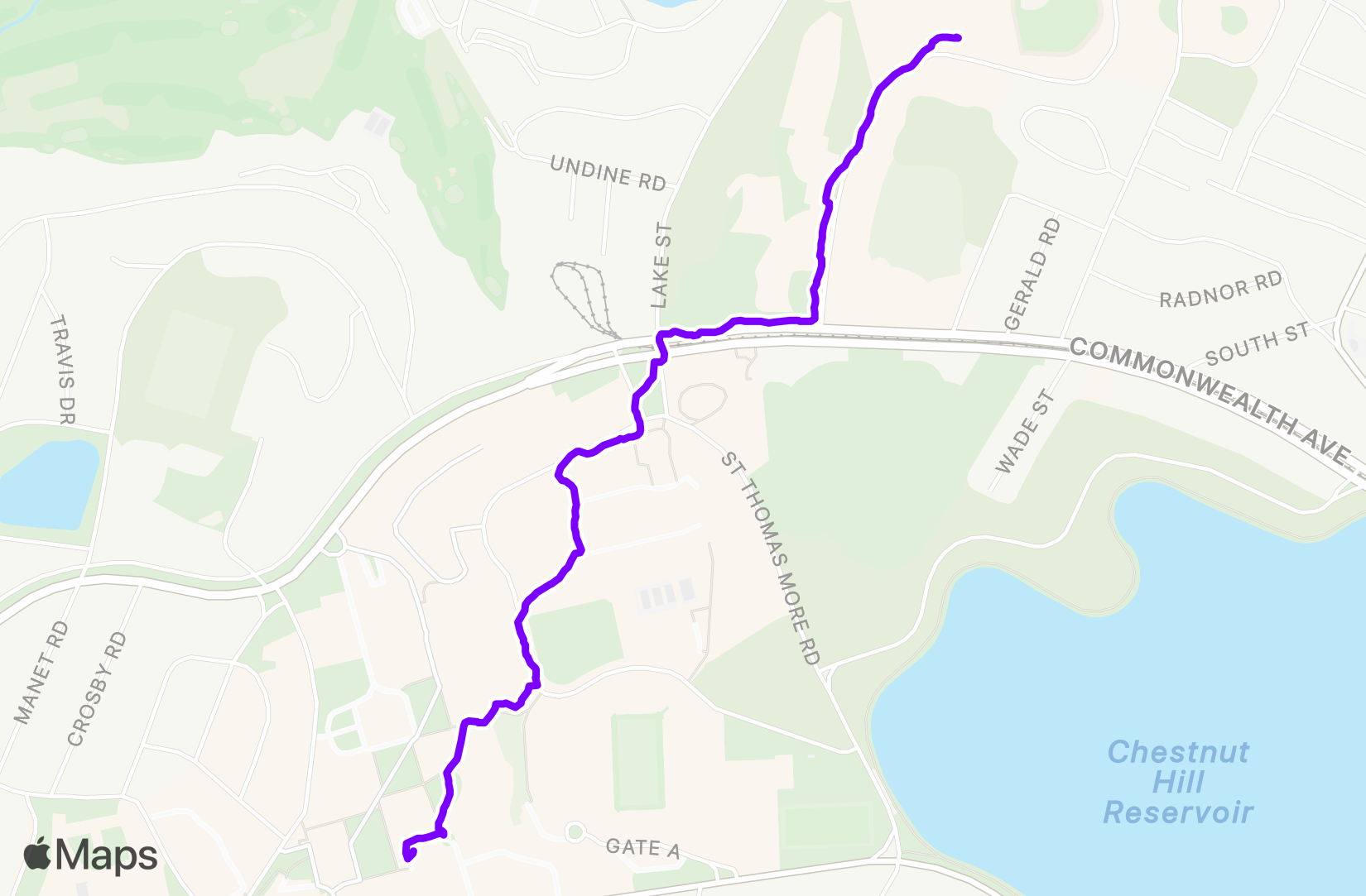 Walk training