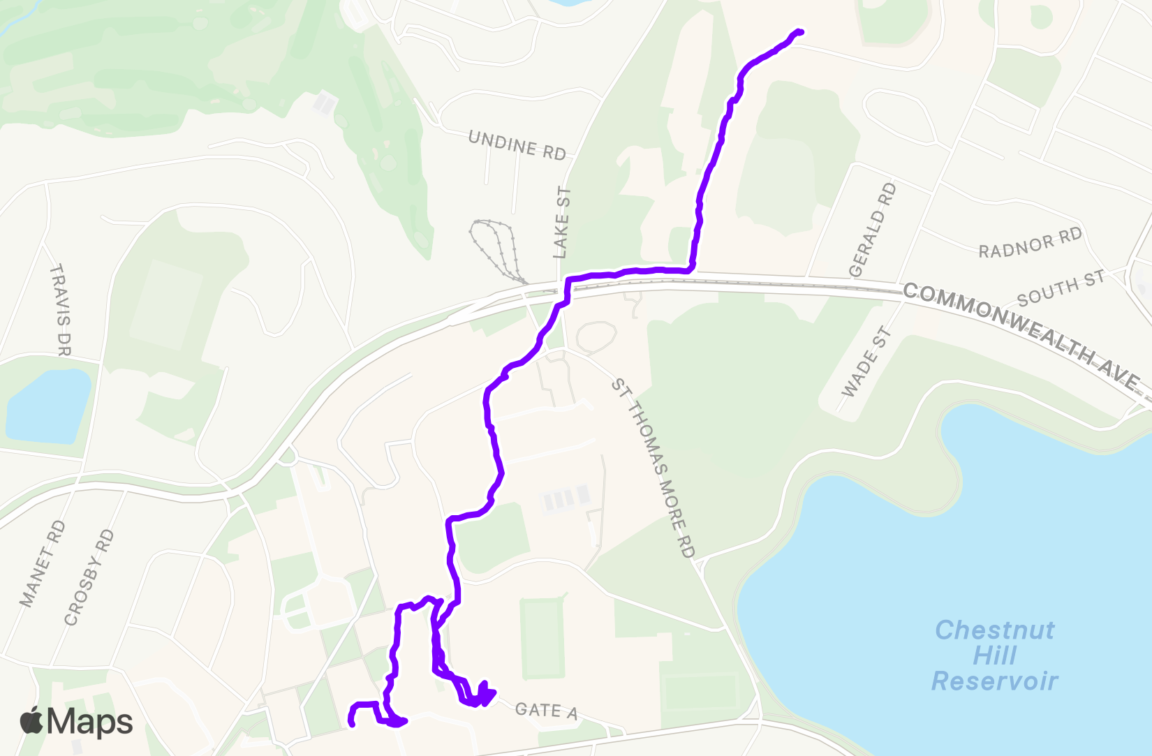 Walk training