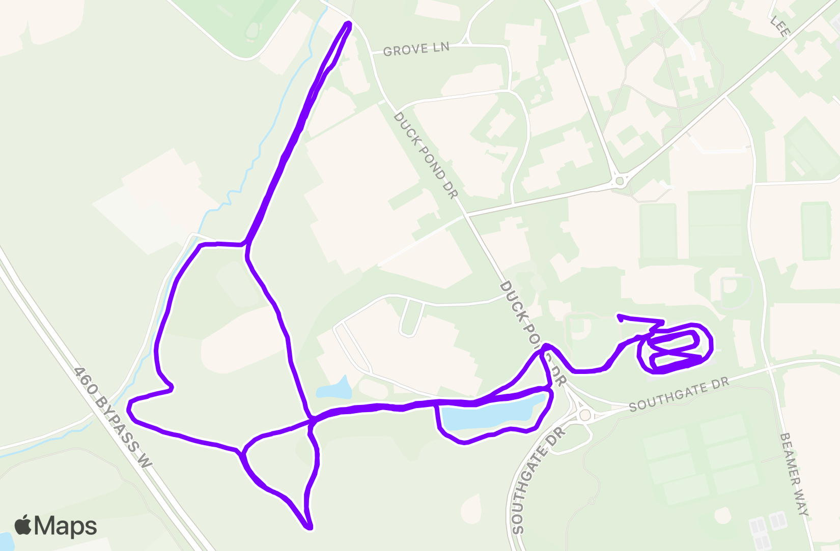Run training