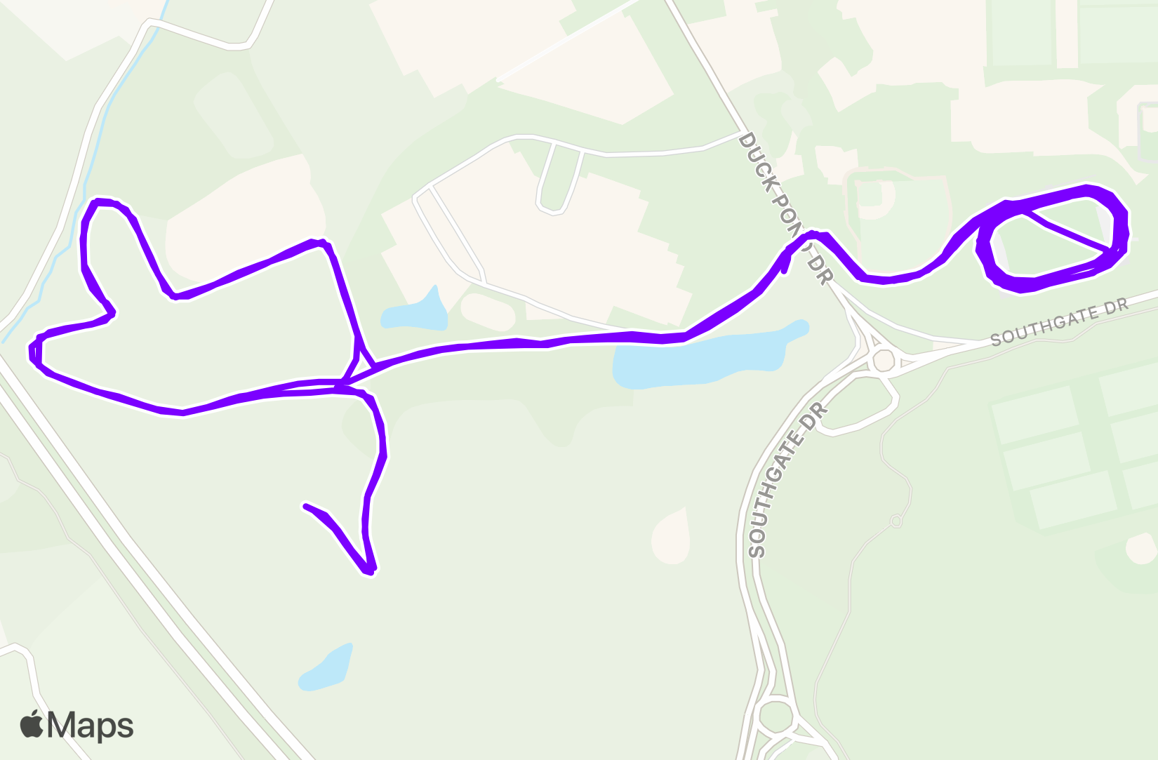 Run training