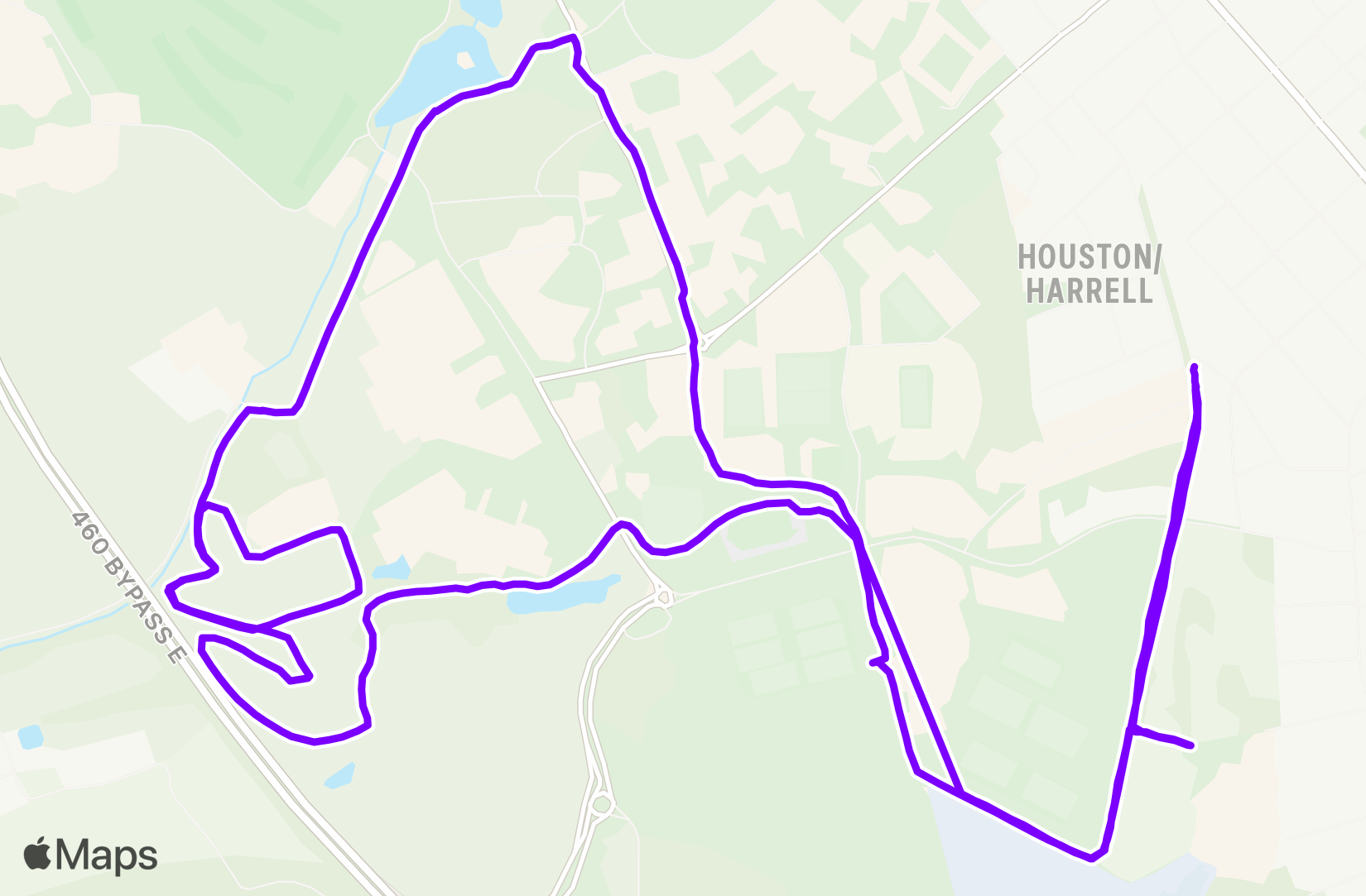 Run training