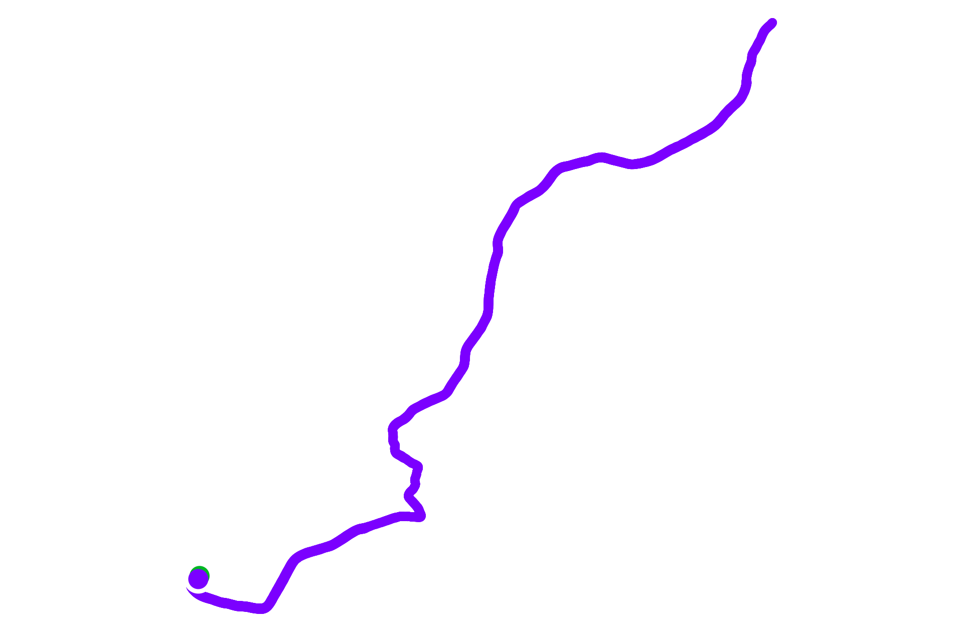 Run training
