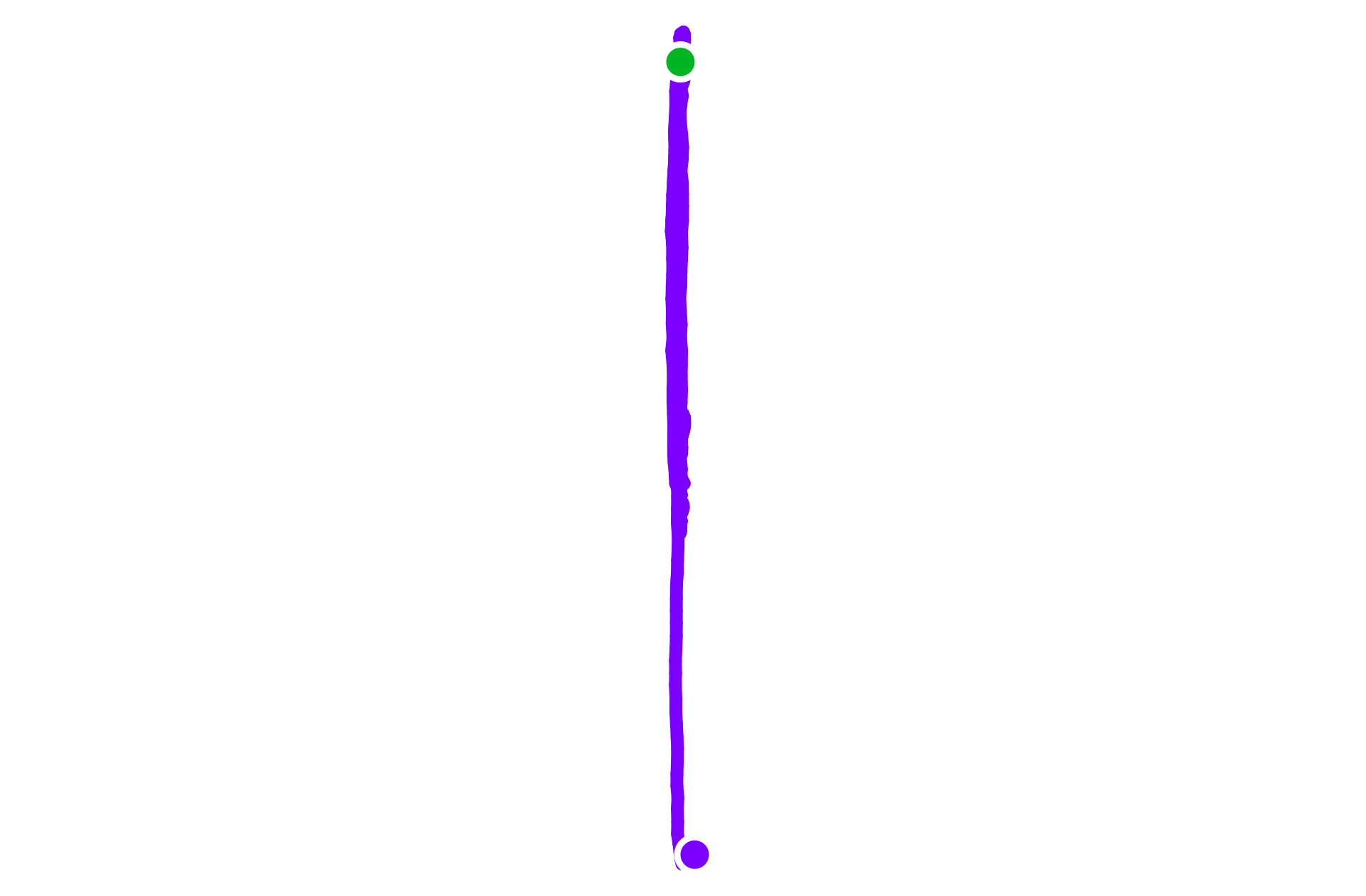 Run training