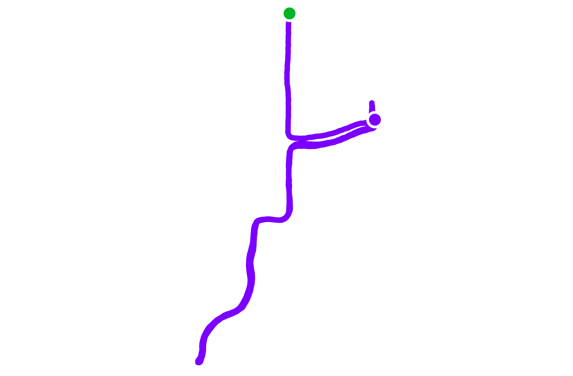 Run training