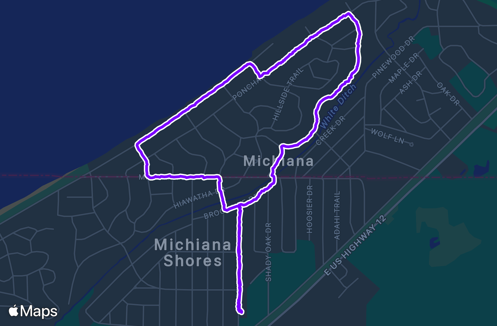 Walk training
