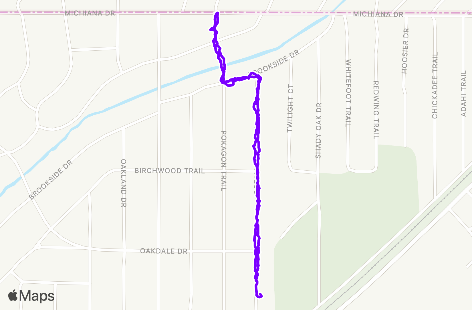 Walk training