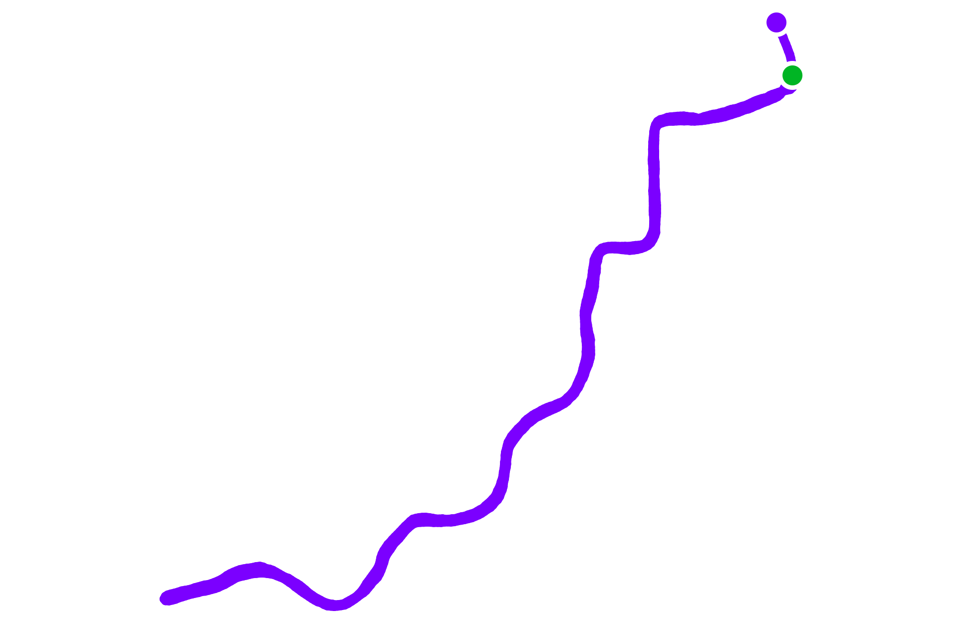 Run training