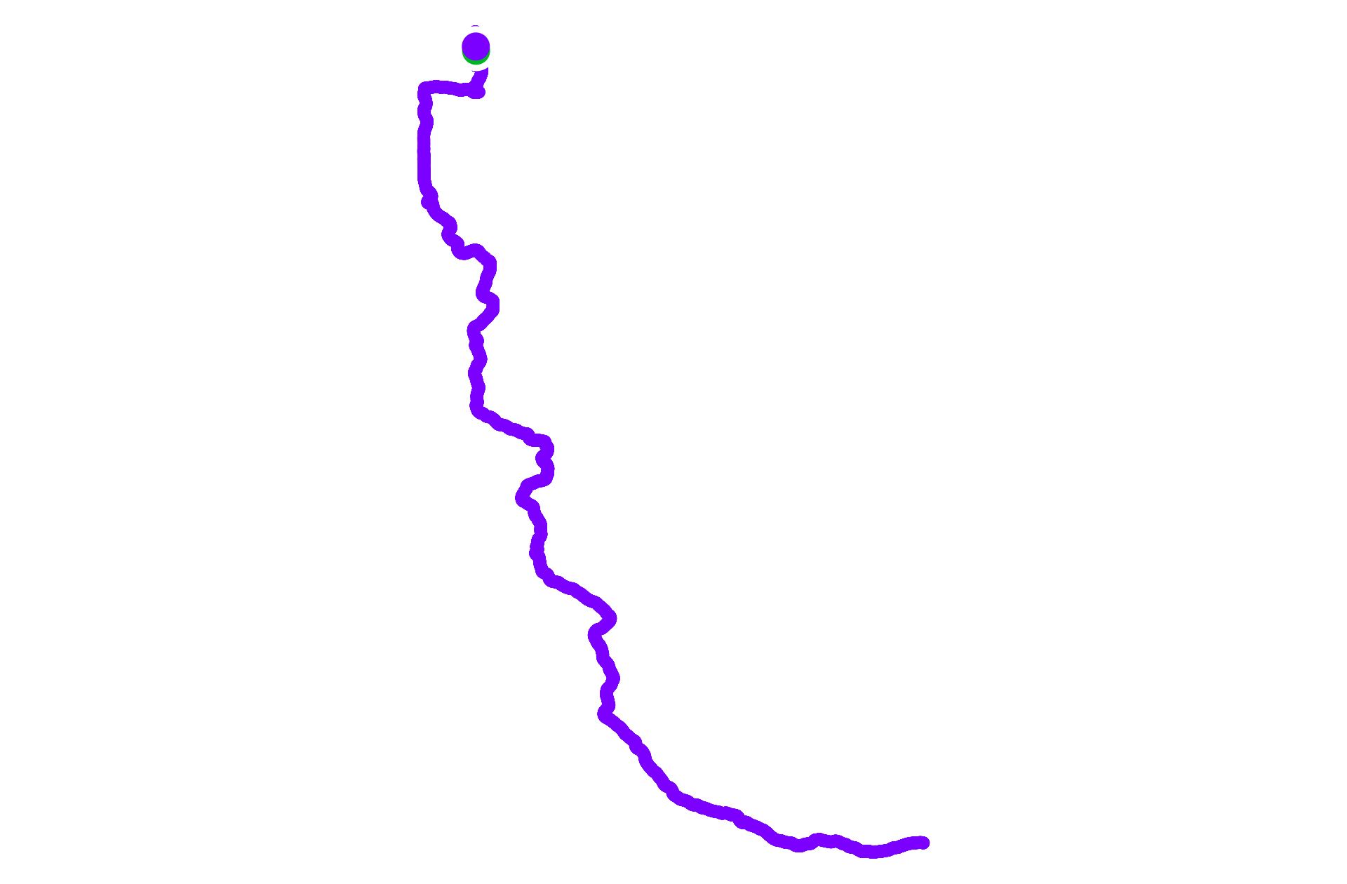 Run training