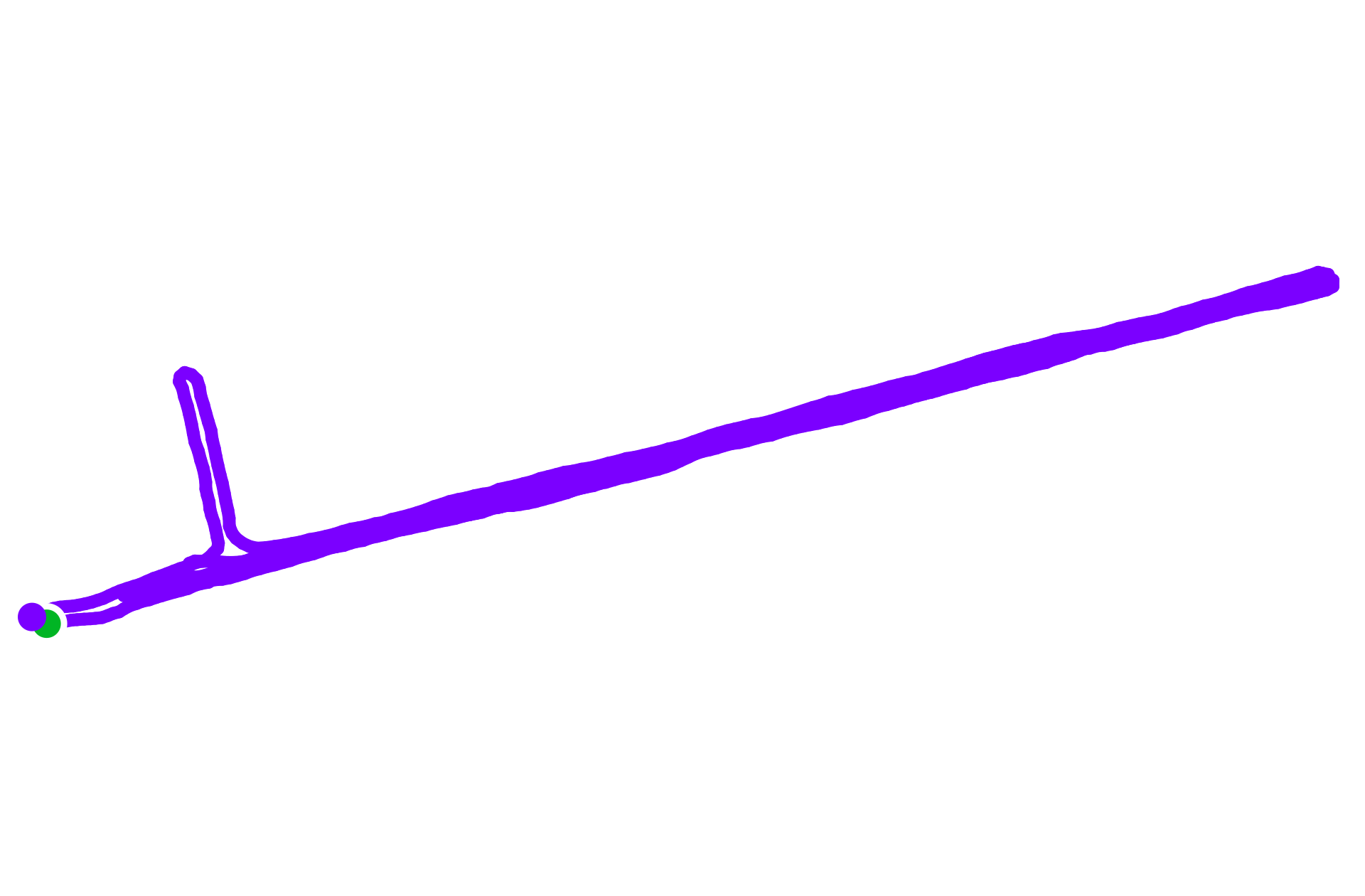 Run training