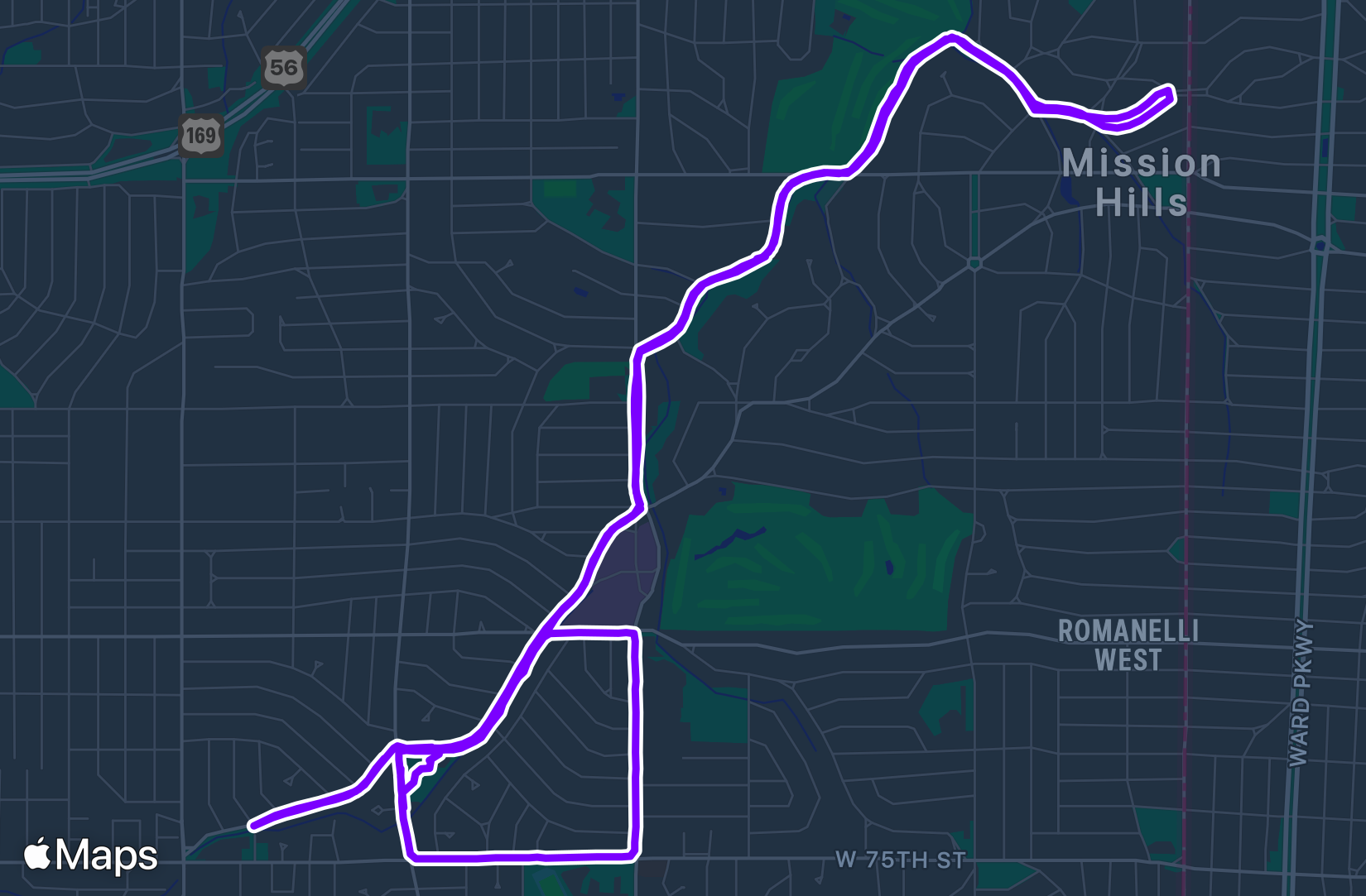 Run training