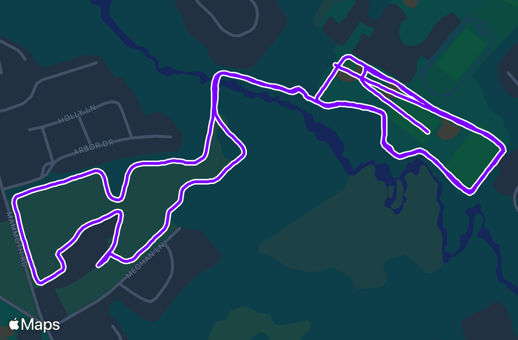Run training