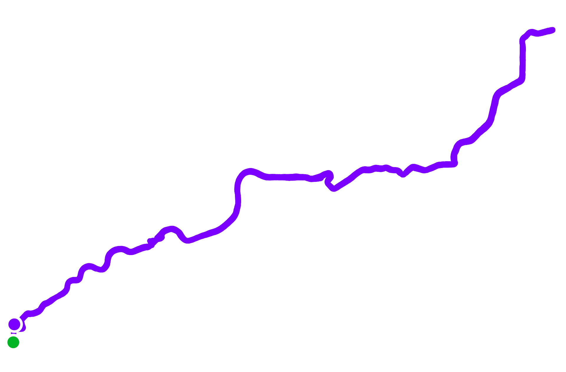 Run training