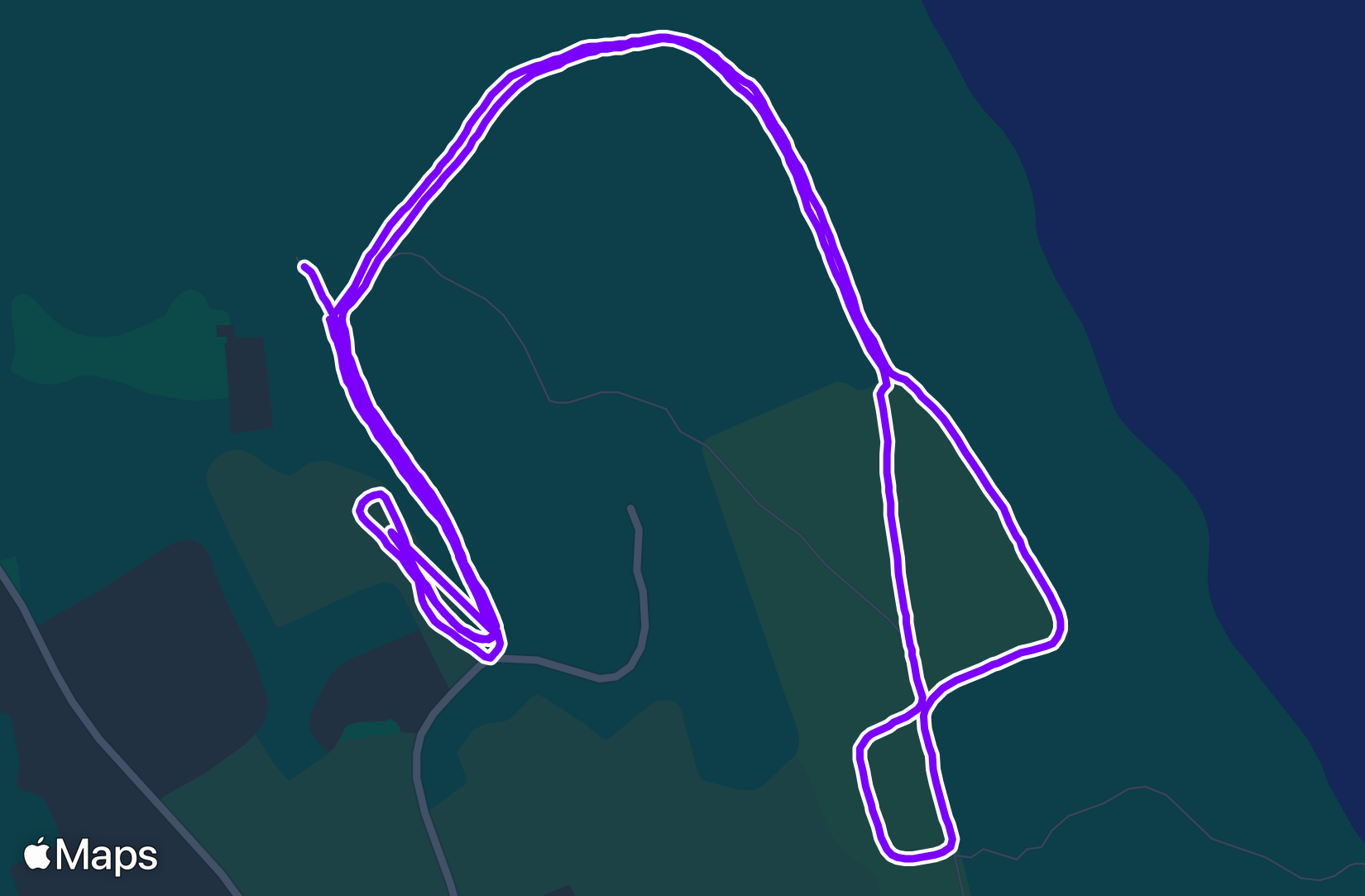 Run training