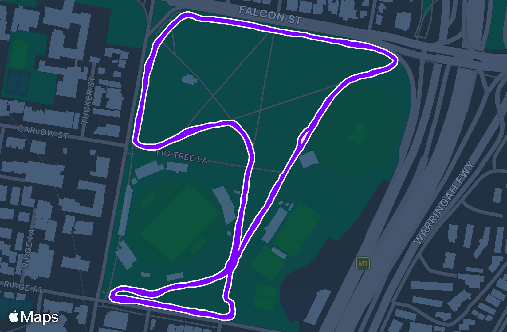 Run training