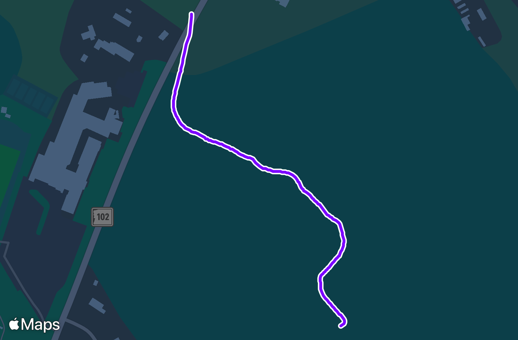Run training