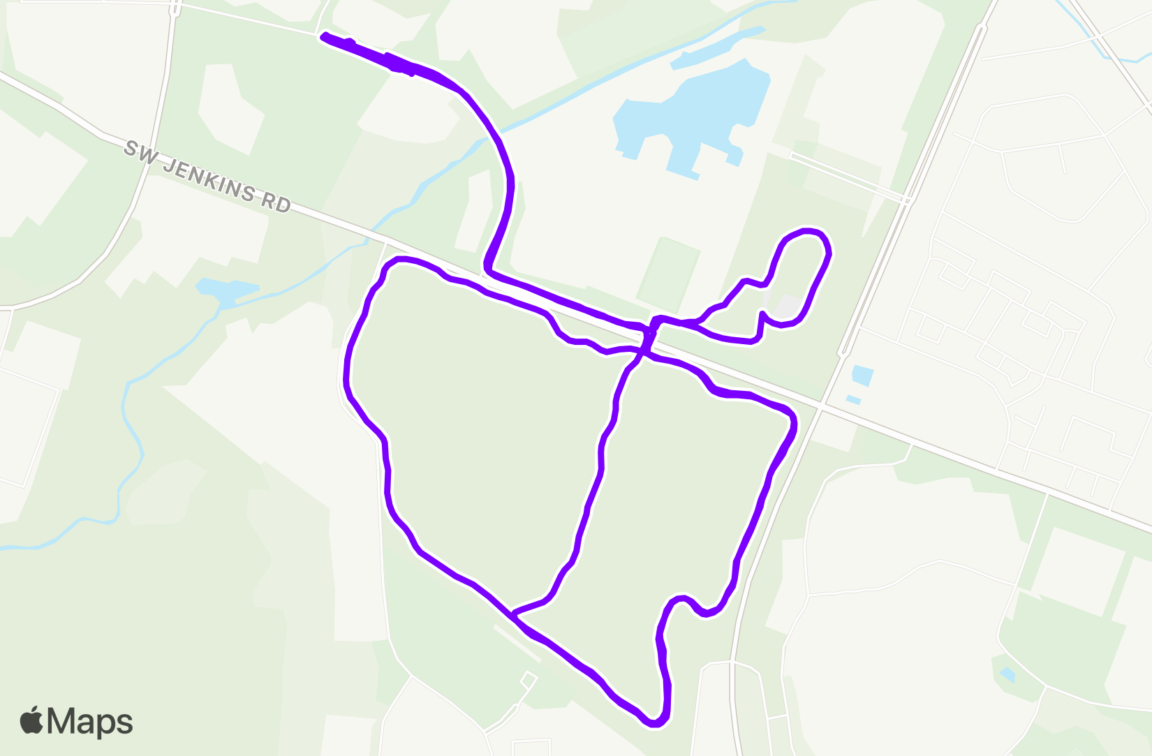 Run training